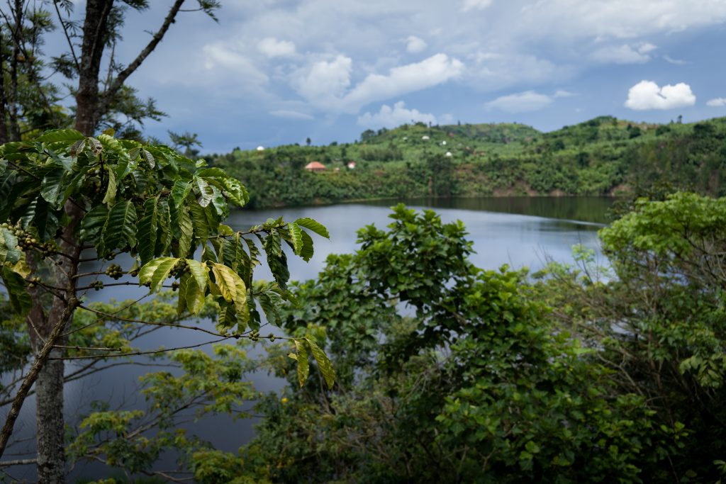 lake kamweru view while in the restaurant